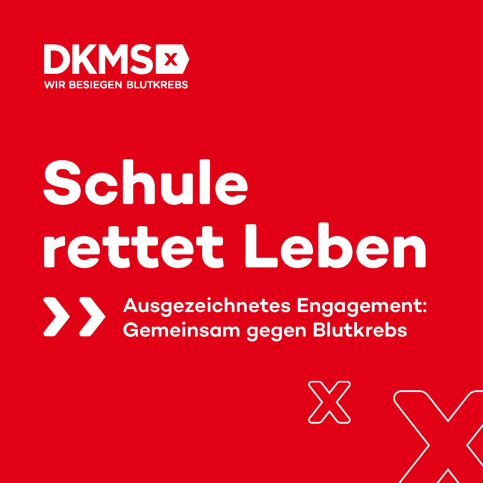 ANSICHT_241007_DKMS_Schul_Siegel_250x250mm_RZ_FW ANSICHT_241007_DKMS_Schul_Siegel_250x250mm_RZ_FW